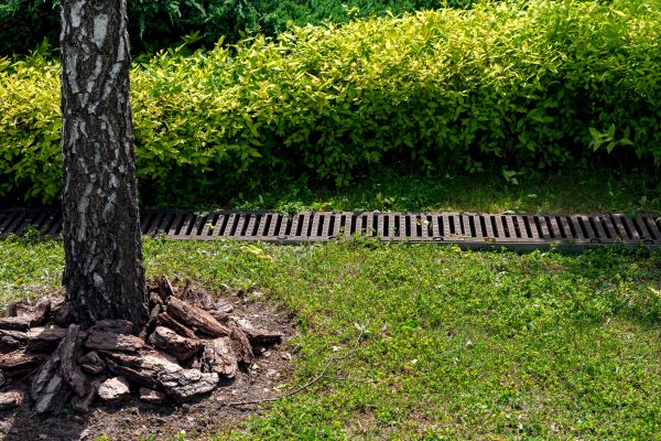 Wet Yard Drainage in Mckinney