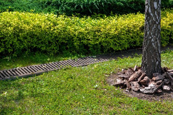 Residential Landscape Drainage in Mckinney