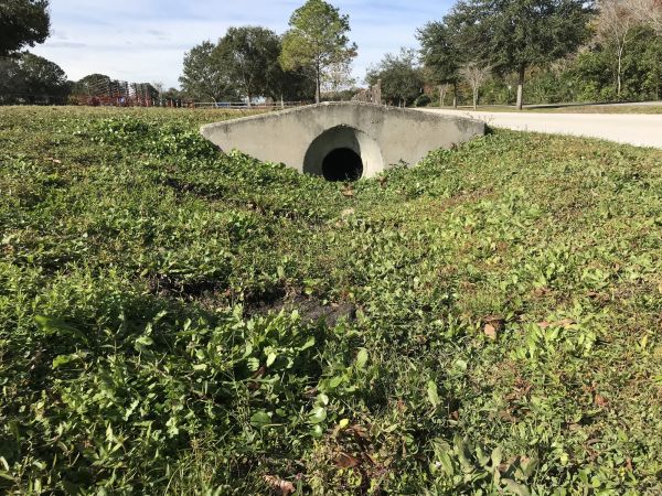 Cost of Swale Drainage Service in Mckinney